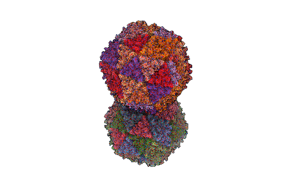 4V99 image