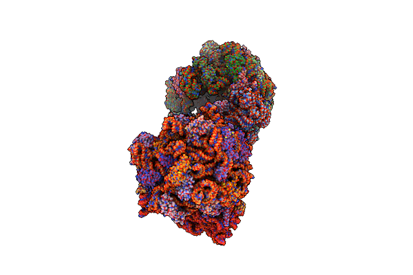 4V9B image