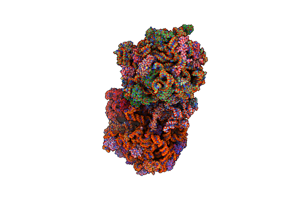 4V9C image