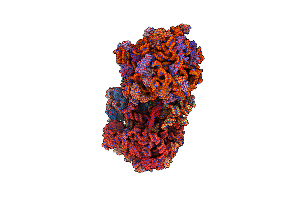 4V9D image