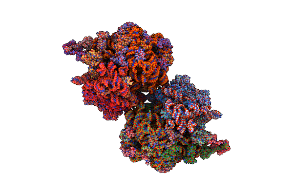 4V9L image