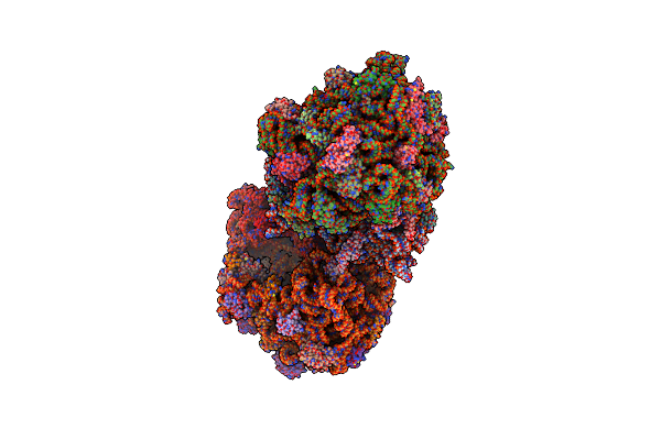 4V9N image