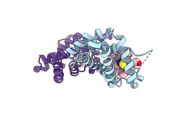 4VHB image