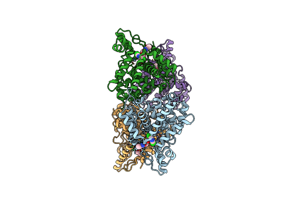 4W1O image