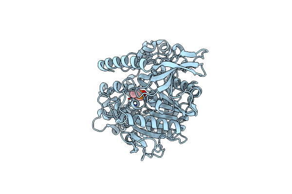 4W1P image
