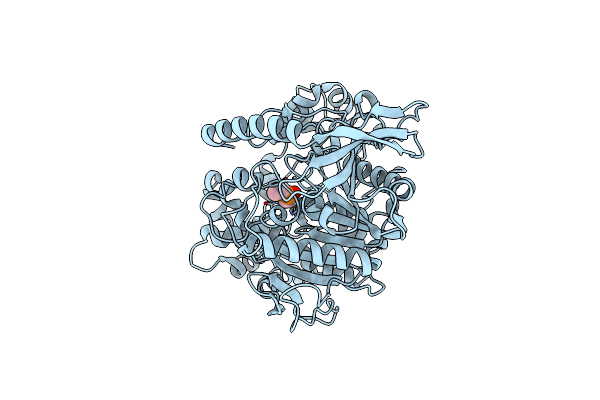 4W1R image