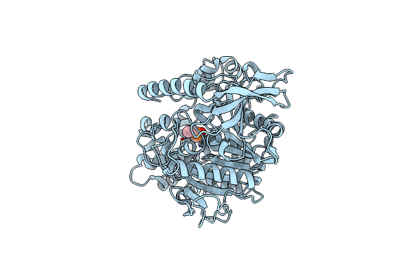 4W1S image