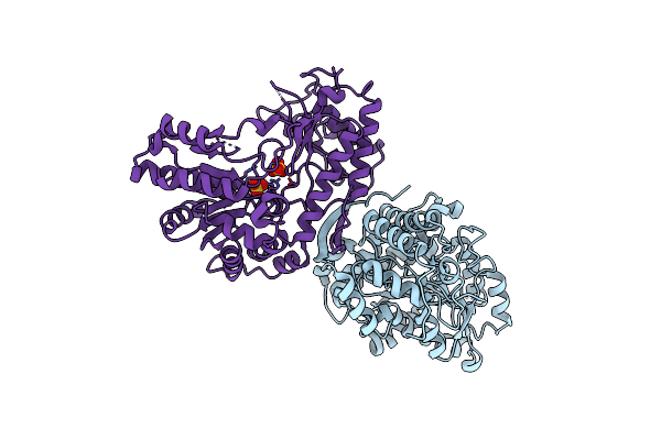 4W1Y image