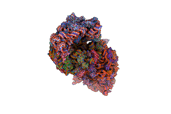 4W2H image