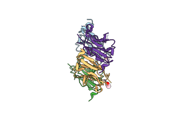 4W2P image