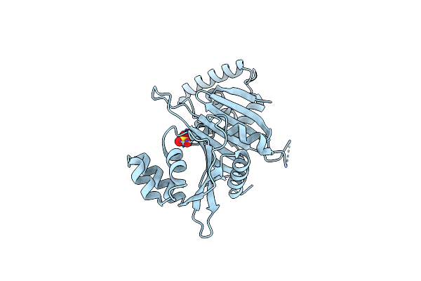 4W4I image