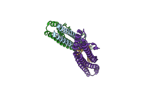 4W4K image