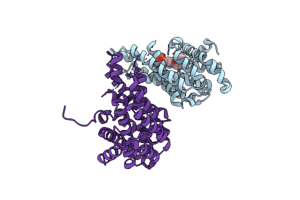 4W4S image