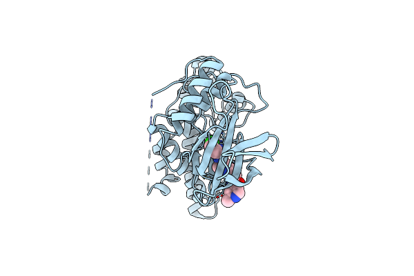 4W4V image
