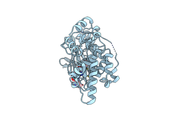 4W4W image