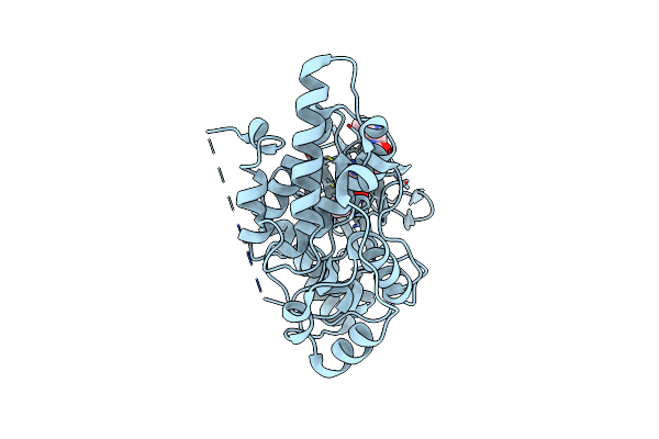 4W4X image