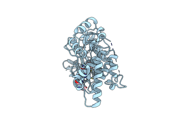 4W4Y image