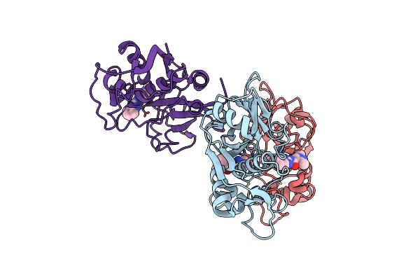 4W5B image