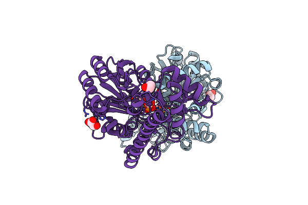 4W5K image