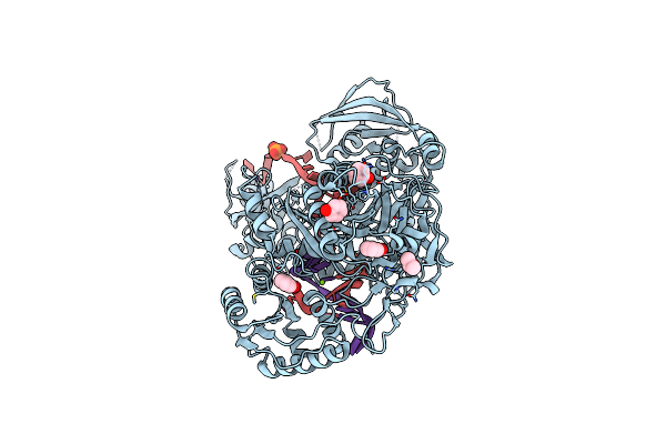 4W5O image