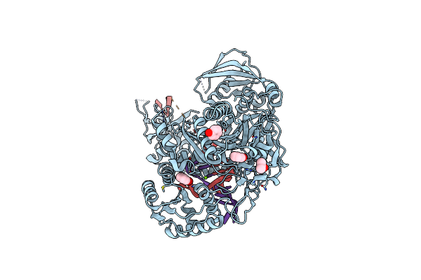 4W5R image