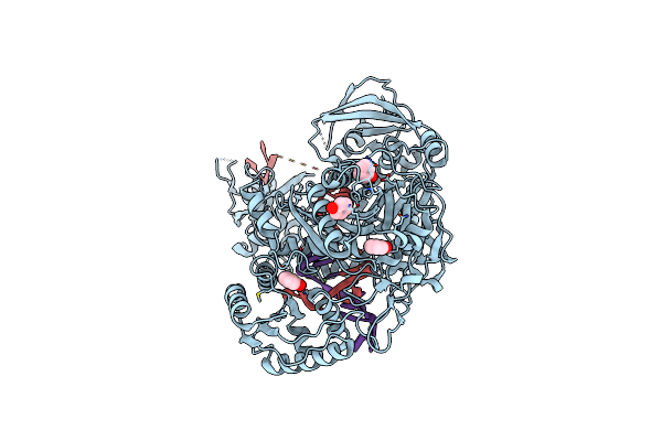 4W5T image
