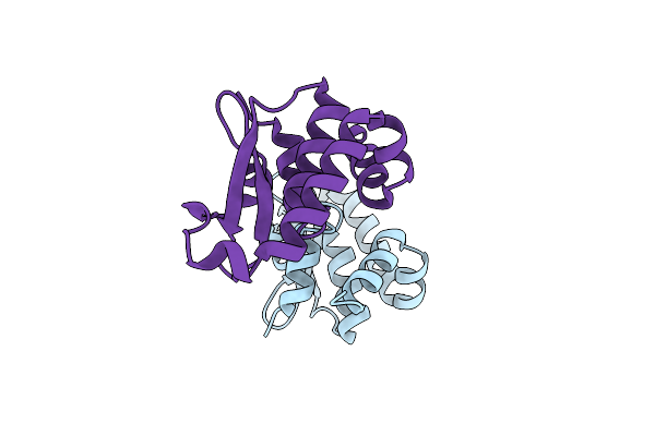 4W5X image