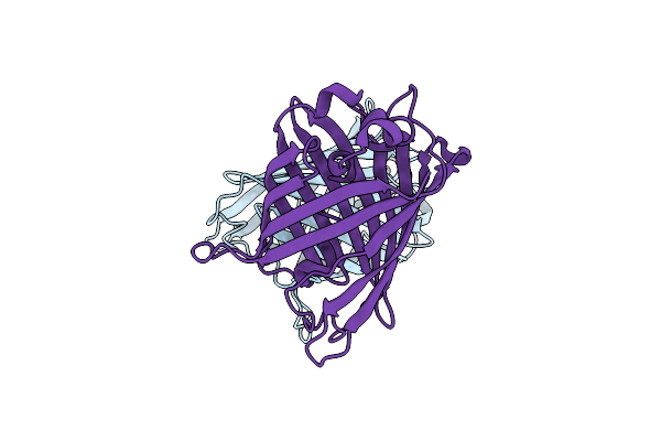 4W6C image