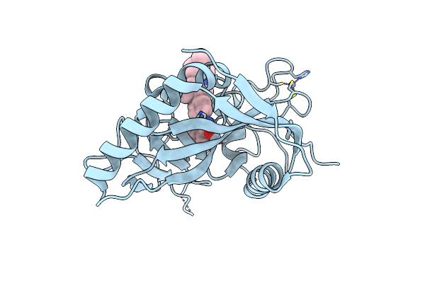 4W6E image
