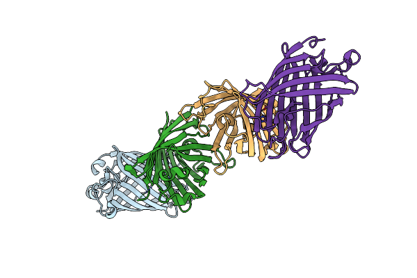 4W7C image