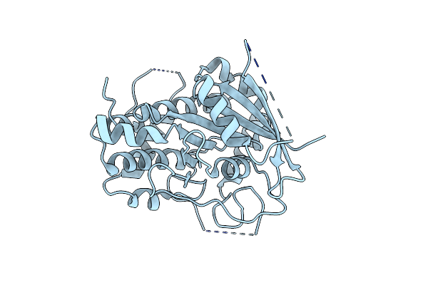 4W7G image