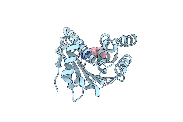 4W7T image