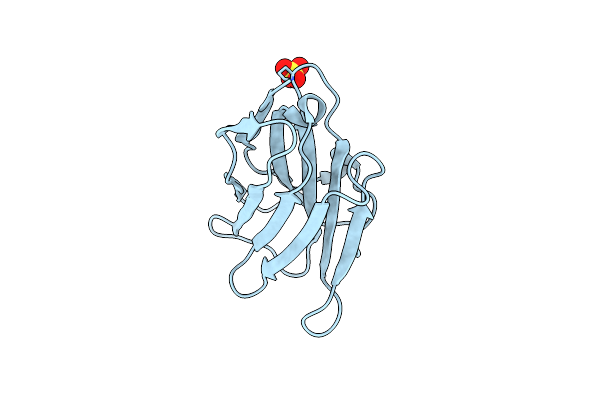 4W81 image