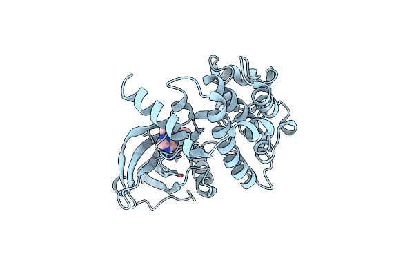 4W8D image