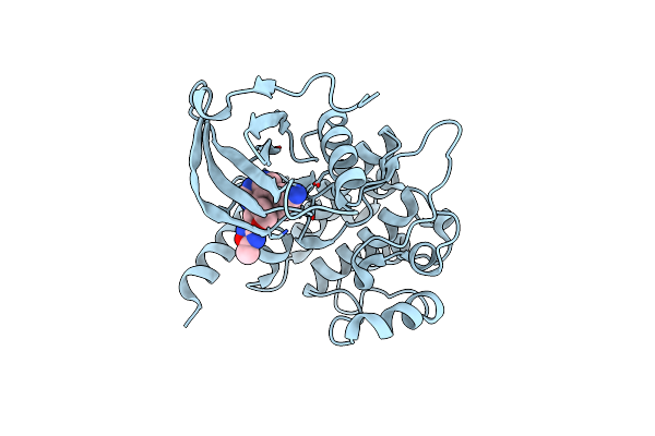 4W8E image