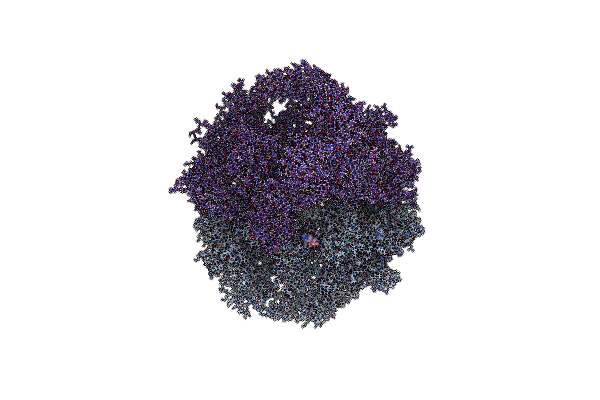4W8F image