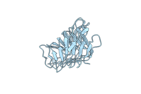 4W8T image