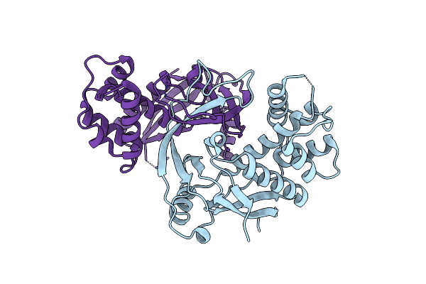 4W8V image