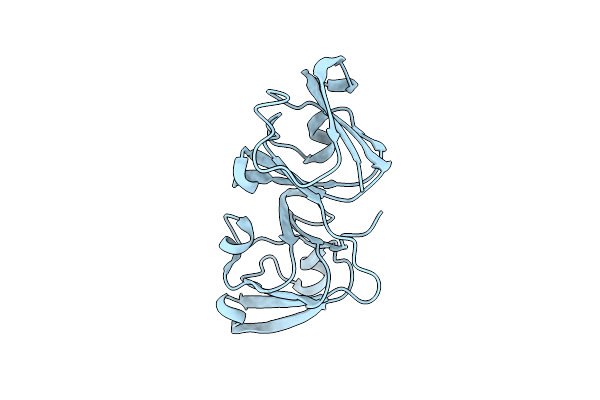 4W9A image
