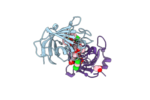 4W9P image