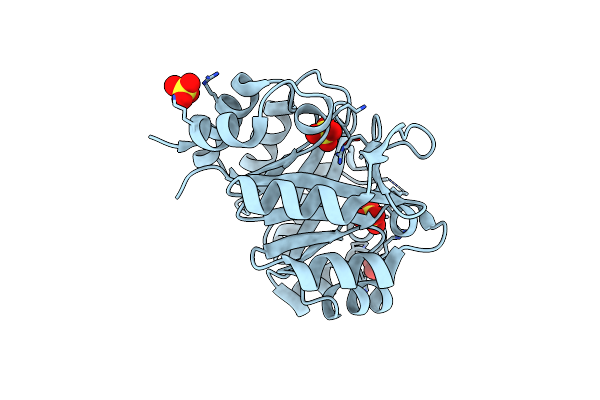 4W9T image