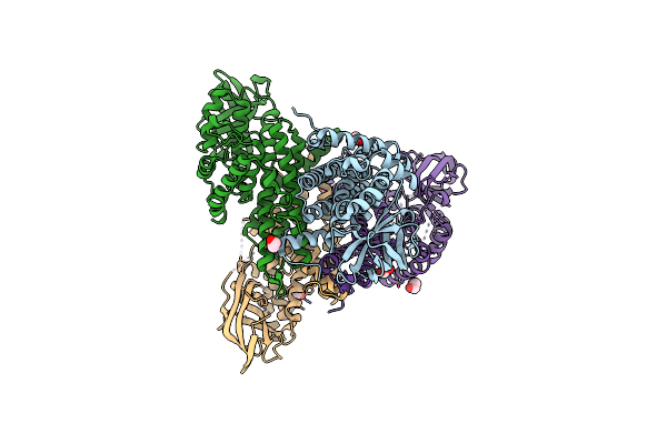 4W9U image