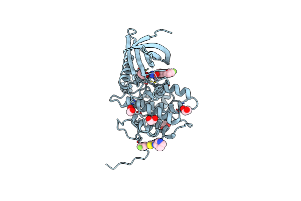 4W9W image