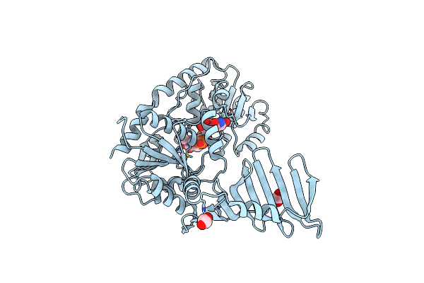 4WAD image