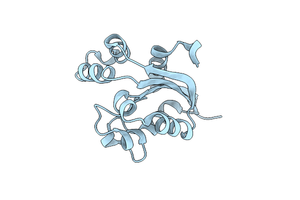 4WBF image