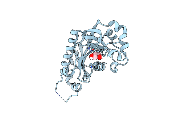 4WBL image