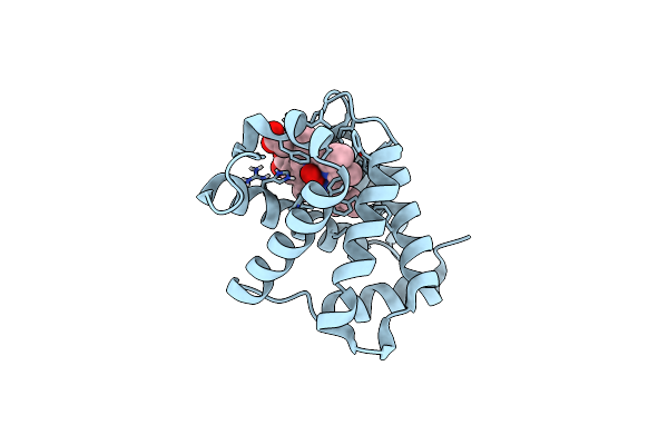 4WCH image