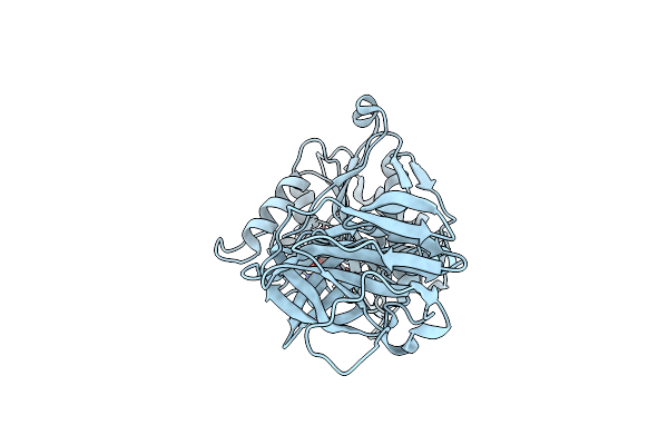 4WCK image