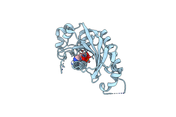 4WDA image