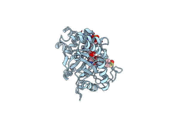 4WEV image
